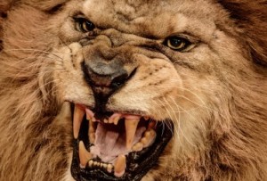 men's ultimate pms survival guide